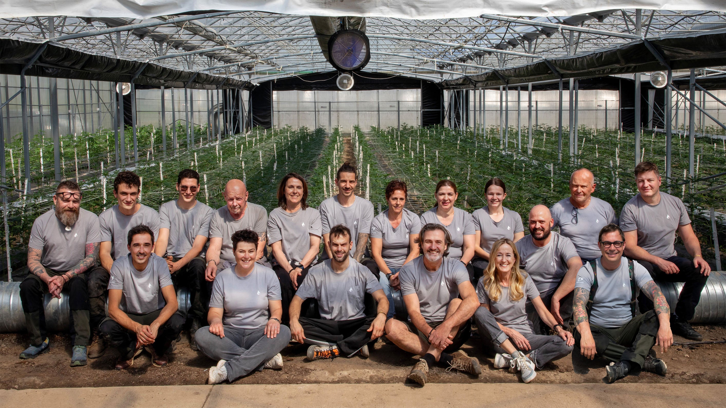 Team von Swissextract sitzend im Gewächshaus